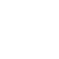 車(chē)輛檢測圖標