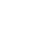 風(fēng)控反欺詐圖標